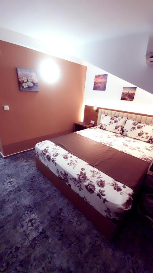 Stay Inn Rediu Valea Lupului  外观 照片